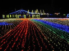 �ؑ]�O������u�~�̌�����v�̎ʐ^1