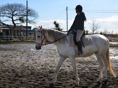 九十九里浜一宮乗馬センターの写真1