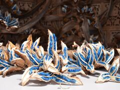 神洗おさんぽガーデンの写真1