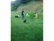 GREAT VACATION̎ʐ^2