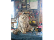 KOMIYA SILVER�̎ʐ^3