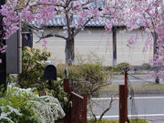 �Ԃ̍H�[ ��΂�̎��̎ʐ^4