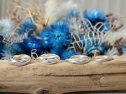 MATEI �M�C�X�̎ʐ^3