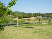 THE FARM FIELD̎ʐ^2