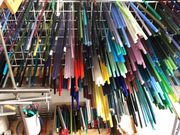 q~EƂڋʍH[EMABO̎ʐ^3