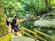 ���̍��I�[�g�L�����v��̎ʐ^2