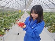 �V�ԉ��̎ʐ^4