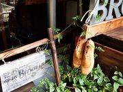 ȌC̊wZqAtelier BroguerAgG u[O̎ʐ^2