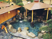 C@gtف@ʊق񔑒̎ʐ^2