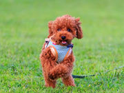 yY t̃AEghAtFX̎ʐ^4