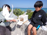 �R���v���[�g����̎ʐ^2