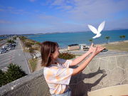 �R���v���[�g����̎ʐ^3