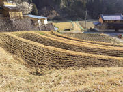 �Ö��ƕ���̎ʐ^3