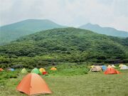 ���h�����イ���������̎ʐ^4