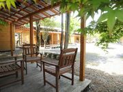 ���ȂÂݔ��R��L�����v���̎ʐ^2