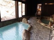 �Ԑ쉷�� �Ԑ쑑�̎ʐ^2