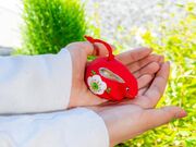 �������̎ʐ^2