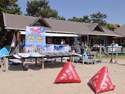 �����l�T�b�v�e���X�̎ʐ^3