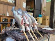 ��ˍ��R�ނ聕�L�����v�����̎ʐ^2