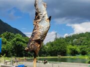 ��ˍ��R�ނ聕�L�����v�����̎ʐ^4