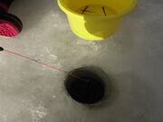 i΁E񂳂jX킩ނ̎ʐ^3