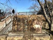 �y�򍂎R��Ղ̎ʐ^4