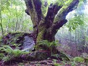 ����̋��� �����Ȃ̎ʐ^3