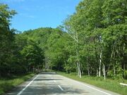 ��ˁE���Z�����炬�X���̎ʐ^2