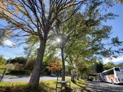 �̂肭�獂���ό��ē����̎ʐ^2