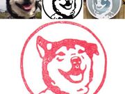 �K���X�̌��@�V�ѐS�̎ʐ^2