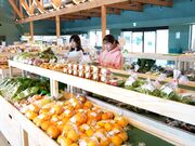 ���̉w �O���[���t�@�[���َR�̎ʐ^4