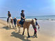 海の乗馬倶楽部エルカバージョの写真3