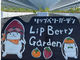 LIP~幸せいちご園~の写真2