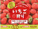 soil select farm̎ʐ^2