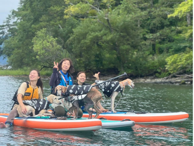 ��^�����Ƒ��̏Ί����_�X�T�b�v��h�b�O�T�b�v�X�N�[��