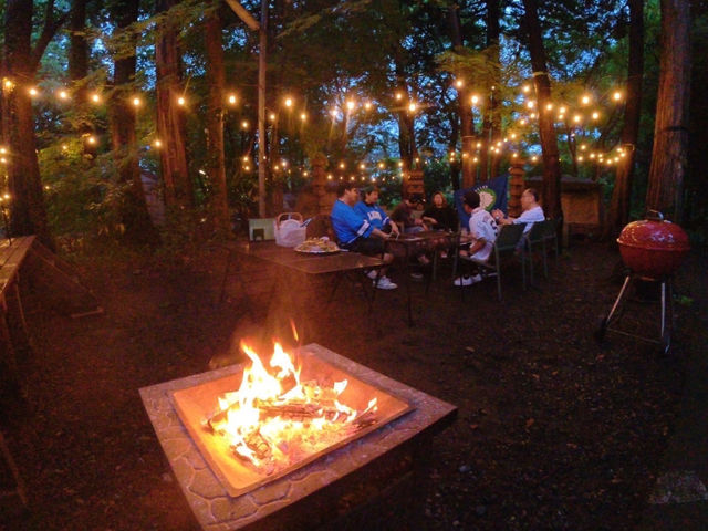 ��͐X�̒��̃��C�g�A�b�v�ƕ����΂Ō��z�I�ȕ��͋C�ɂȂ�܂��B_Grow Garden Toriyama