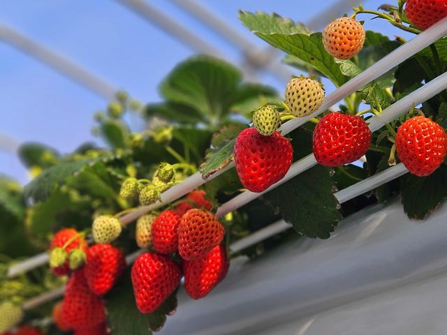 ���ꂽ���ɂ͐�ƎB�e���������߁I�f����p�x��T���Ă݂Ă��������ˁ�_�T���x���[�_��