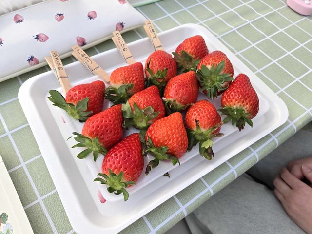 ���n�H�׍��ȃC�`�S�������ς��I���������ς��܂ŃC�`�S�������������肢�������܂��I_�T���x���[�_��