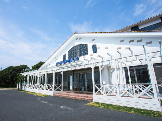 �m�O�ρn_���u�}�b�N�X���]�[�g���O��V�[�t�����g