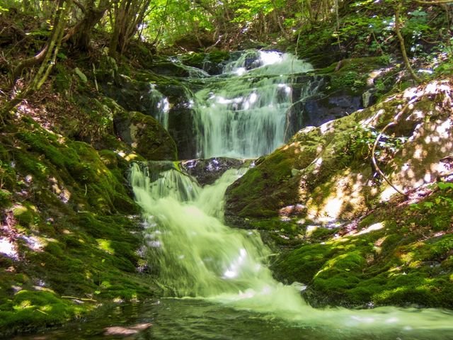 ��ւ�����܂����A�z�������͂����K�b�c�|�[�Y�I_Club Frog's(�N���u�t���b�O�X)���r��x�[�X