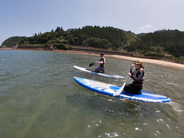 �r�[�`�������n�_�V