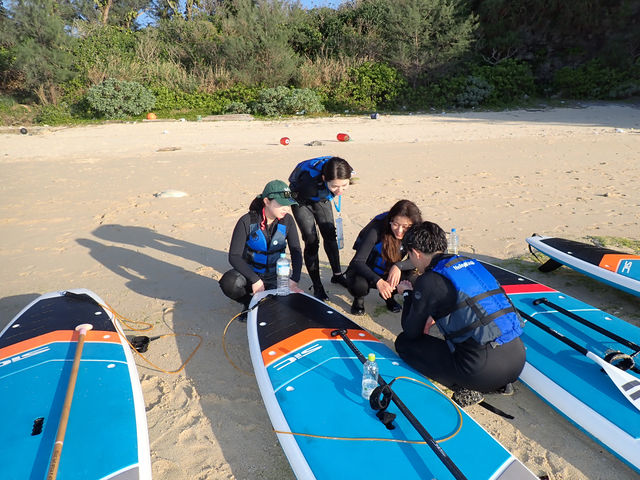 �T���Z�b�g�T�b�v�N���[�W���O�c�A�[�ł́A�r�[�`�ɏ㗤��ɏ����h�����N�^�C�������Ȃ���A�C�̐������ώ@���o���܂��B_Ehku Sup Okinawa