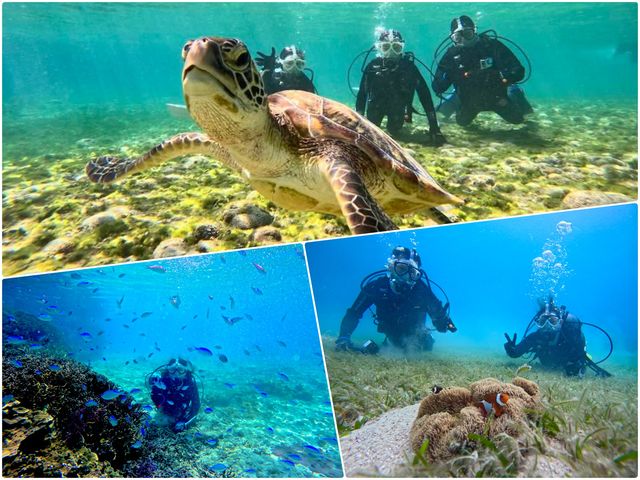 �{�Ó��_�C�r���OYOSHI(������[)�̎ʐ^1