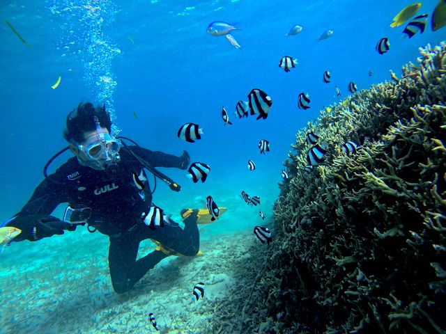 �{�Ó��_�C�r���OYOSHI(������[)