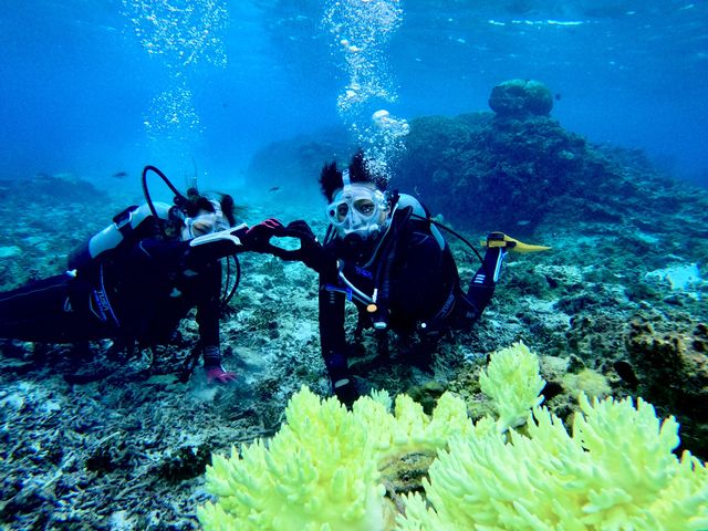 �{�Ó��_�C�r���OYOSHI(������[)