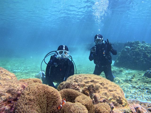 �{�Ó��_�C�r���OYOSHI(������[)