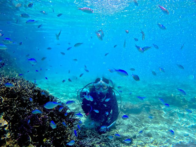 �{�Ó��_�C�r���OYOSHI(������[)