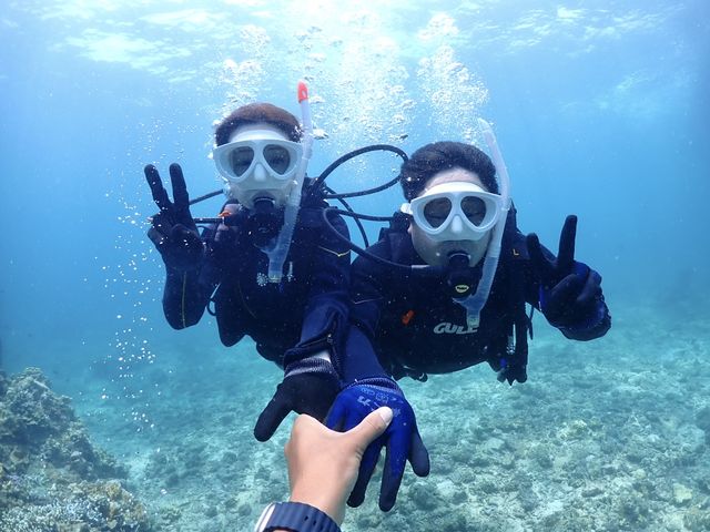 �C�̐��E�ւ悤�����I_�Ί_���_�C�r���O�T�[�r�X BlueSeod