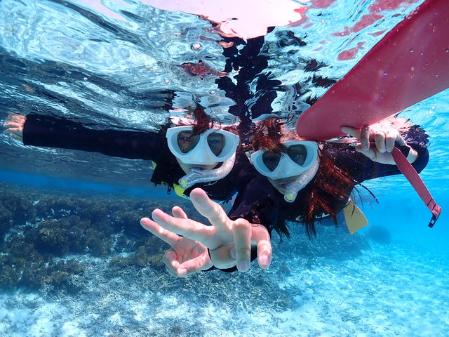 �j���Ȃ��Ă�OK_�Ί_���_�C�r���O�T�[�r�X BlueSeod