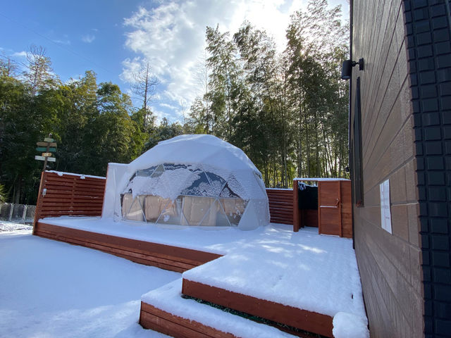 ~͐iF̒TEiōł_GLAMPER'S